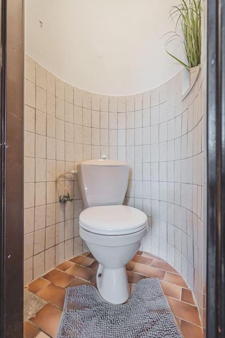 Carolina'S Romantic Apartment Hradec Králové Kültér fotó