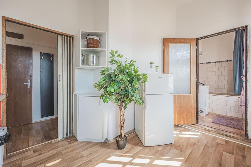 Carolina'S Romantic Apartment Hradec Králové Kültér fotó